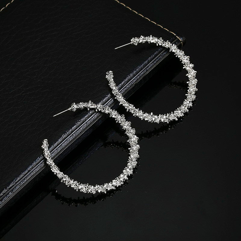 Fancy Sparkling Style Circle Burr Earrings